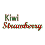 Kiwi Strawberry E-Liquid Old Pueblo Vapor